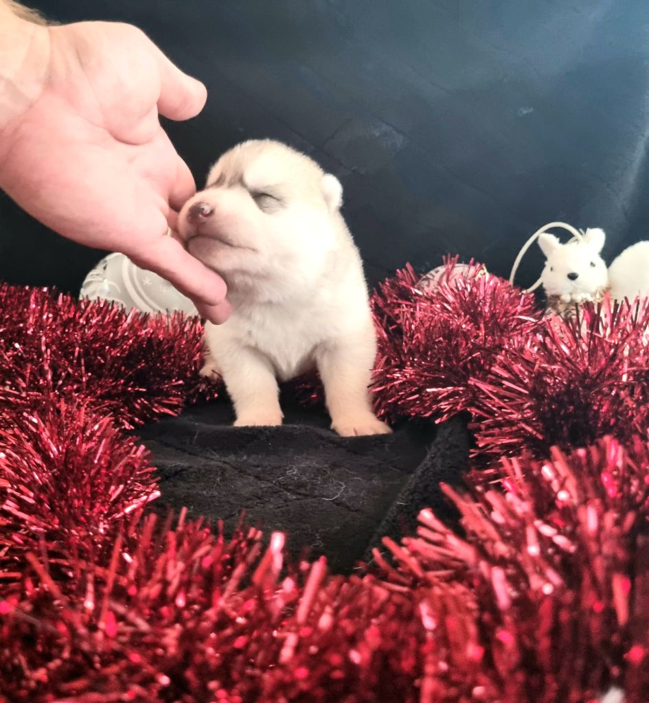 Nouvelles photos des bébés pour fêter leur première semaine !