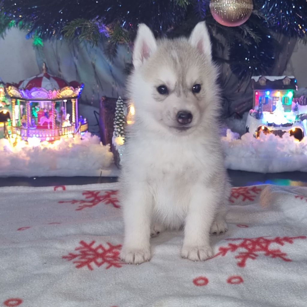 Nouvelles photos des bébés ! 